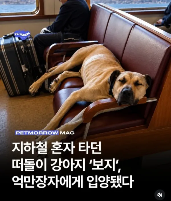db3b73493ed09ffcfbac730be546efb8.webp