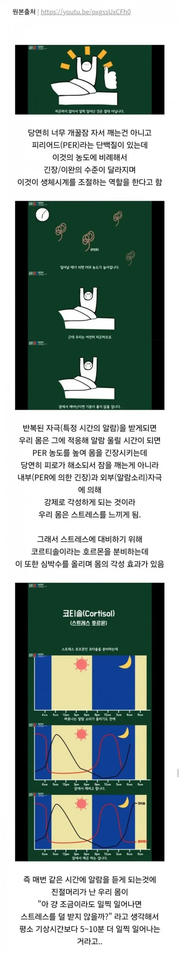 기상 알람 듣기 전 잠에서 깨는 이유.webp