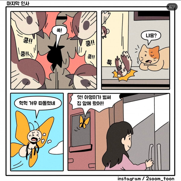 006.jpg