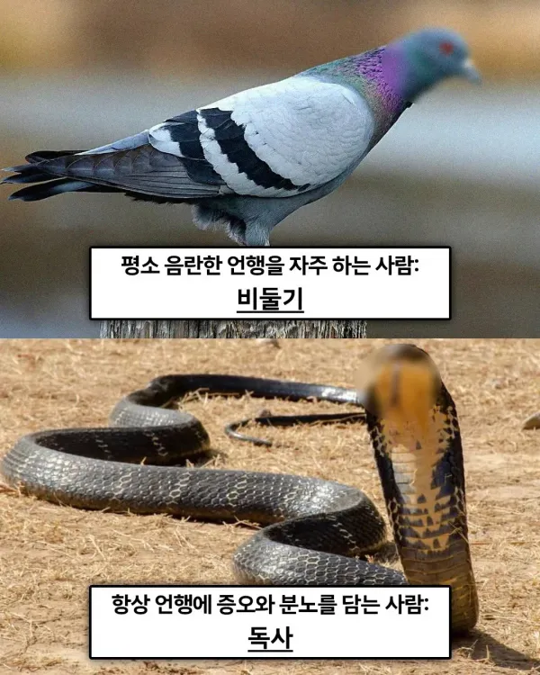 e_s06159a001_4a368ad0b91b7ca70bd0ac94ff9fbaf50a2cf20c.webp