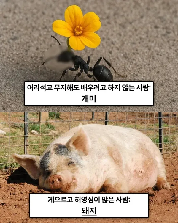 e_s06159a002_2ba3367c10f1ebb3b02adfa5ebc32c8cf297449a.webp