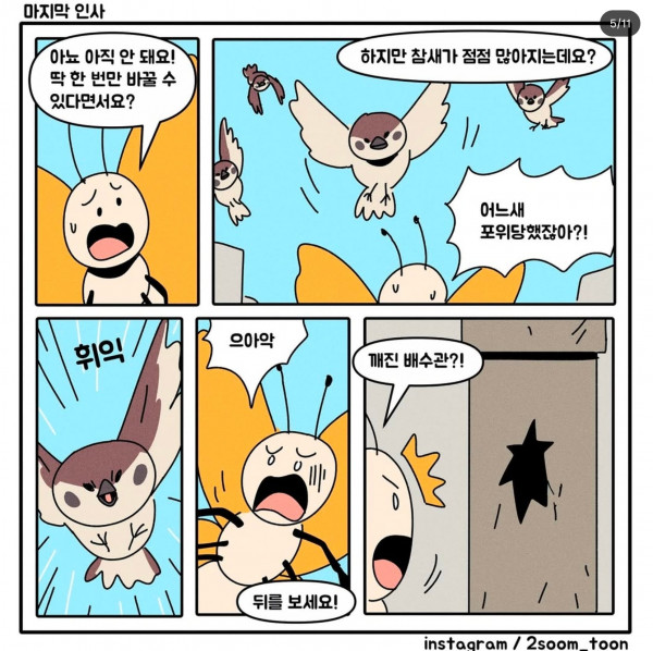 005.jpg