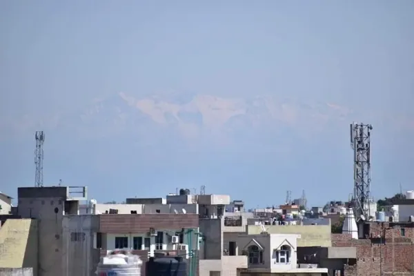 005.webp